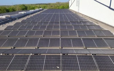 PV-Reinigung in Bonn: Pollen, Saharastaub & Erntezeit effizient beseitigen