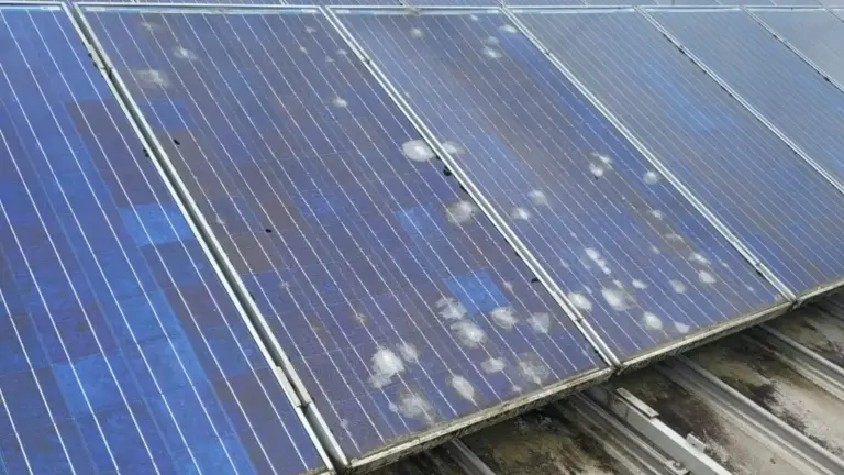Verschmutzte PV-Module mit Vogelkot vor der Wartung